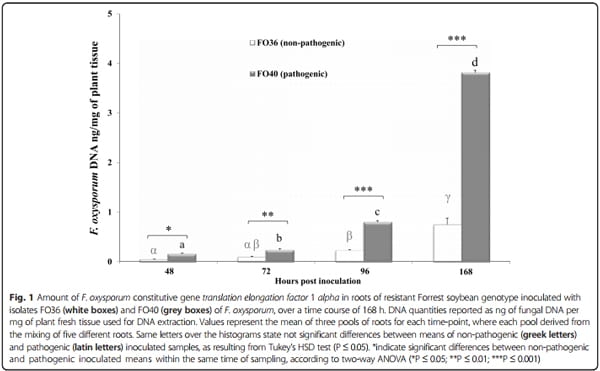 Transcriptome profiling of soybean (Glycine max) roots challenged with pathogenic and non-pathogenic isolates of Fusarium oxysporum - Image 1