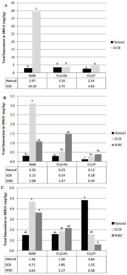 Fumonisins in Conventional and Transgenic, Insect-Resistant Maize Intended for Fuel Ethanol Production: Implications for Fermentation Efficiency and DDGS Co-Product Quality - Image 4