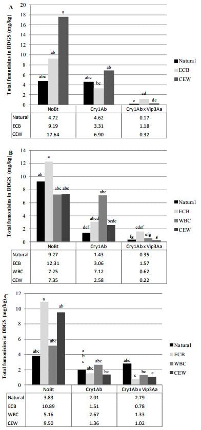 Fumonisins in Conventional and Transgenic, Insect-Resistant Maize Intended for Fuel Ethanol Production: Implications for Fermentation Efficiency and DDGS Co-Product Quality - Image 5