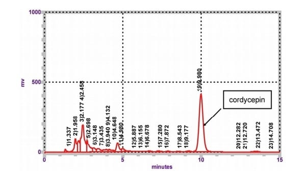 Cordyceps militaris hot water extract inhibits lipopolysaccharide-induced inflammatory response in porcine alveolar macrophages by regulation of mitogen-activated protein kinase signaling pathway - Image 1