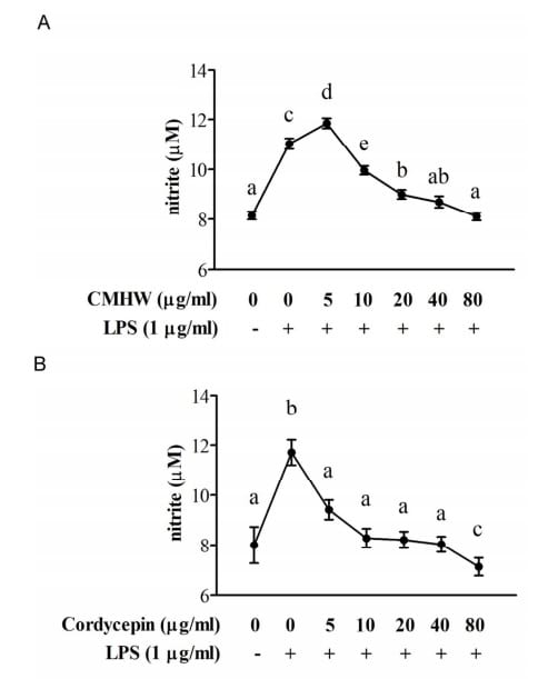 Cordyceps militaris hot water extract inhibits lipopolysaccharide-induced inflammatory response in porcine alveolar macrophages by regulation of mitogen-activated protein kinase signaling pathway - Image 2