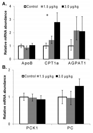 TNFa Altered Inflammatory Responses, Impaired Health and Productivity, but Did Not Affect Glucose or Lipid Metabolism in Early-Lactation Dairy Cows - Image 10