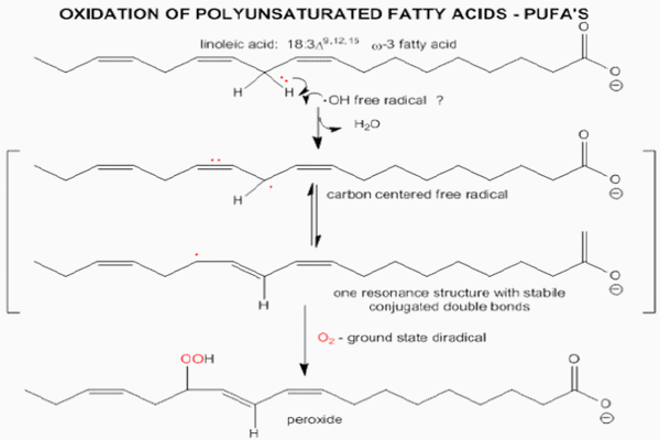 Oxidative stress protection of embryos by 