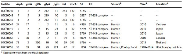 Genotyping and antibiotic resistance of thermophilic Campylobacter isolated from chicken and pig meat in Vietnam - Image 4