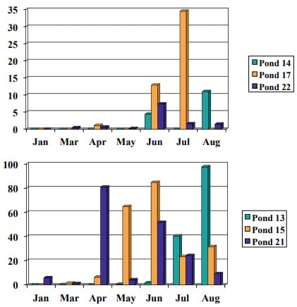 Managing Algal Blooms and the Potential for Algal Toxins in Pond Water - Image 5