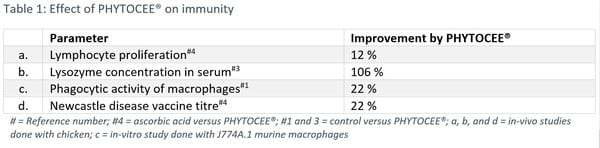 Production stress: consequence of high performance - Image 3