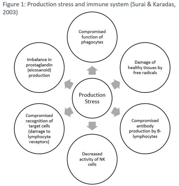 Production stress: consequence of high performance - Image 1
