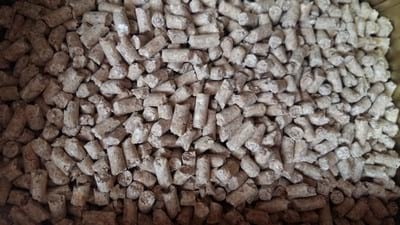 Remove Salmonella from the feed to increase the value of your equipment - Image 5