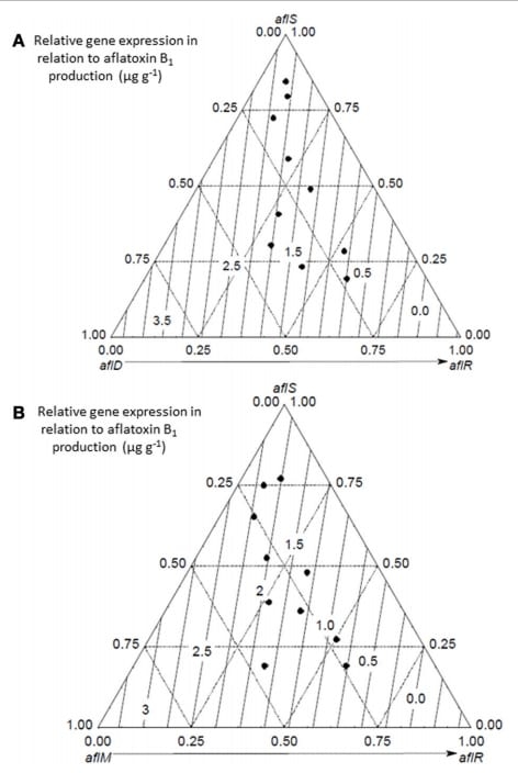 Effect of climate change on Aspergillus flavus and aflatoxin B1 production - Image 4