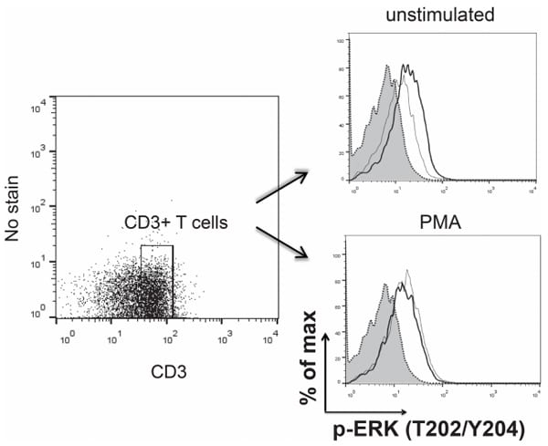 1a,25(OH)2 Vitamin D3 Modulates Avian T Lymphocyte Functions without Inducing CTL Unresponsiveness - Image 4