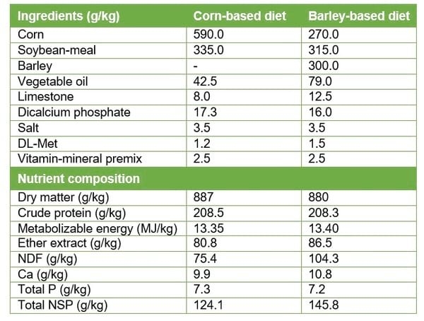 Prevention of Footpad Lesions in Broilers - Image 1