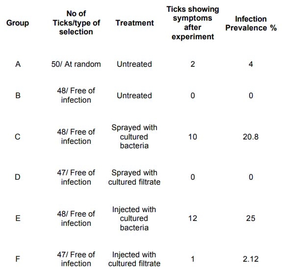 Staphylococcus saprophyticus is a pathogen of the cattle tick Rhipicephalus (Boophilus) microplus - Image 2