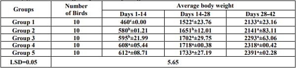 Moringa Oleifera Leaves in Broiler Diets: Effect on Chicken Performance and Health - Image 2