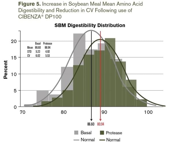 Improving precision feeding with protease - Image 6