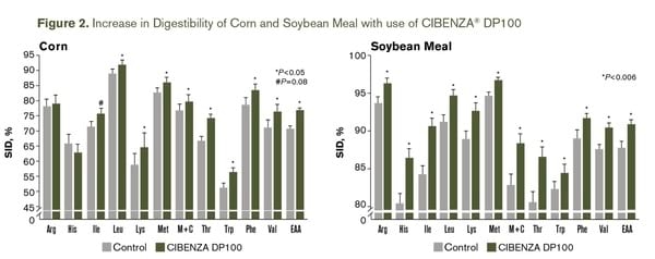 Improving precision feeding with protease - Image 3
