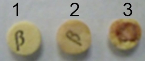 Outer membrane vesicles of Pasteurella multocida contain virulence factors - Image 6