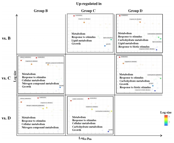 Nutrigenomic and Nutritional Analyses Reveal the Effects of Pelleted Feeds on Asian Seabass (Lates calcarifer) - Image 13