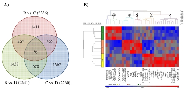 Nutrigenomic and Nutritional Analyses Reveal the Effects of Pelleted Feeds on Asian Seabass (Lates calcarifer) - Image 12