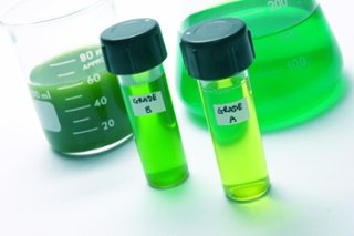 A Holistic Approach In Animal Nutrition - Image 9