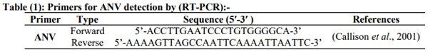 Incidence of Avian Nephritis and Infectious Bronchitis Viruses in Broilers in Egypt - Image 1