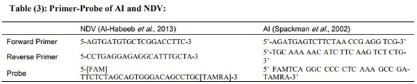 Incidence of Avian Nephritis and Infectious Bronchitis Viruses in Broilers in Egypt - Image 3