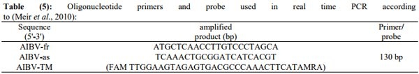 Incidence of Avian Nephritis and Infectious Bronchitis Viruses in Broilers in Egypt - Image 5