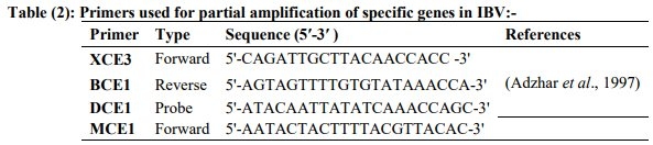 Incidence of Avian Nephritis and Infectious Bronchitis Viruses in Broilers in Egypt - Image 2