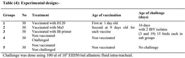 Incidence of Avian Nephritis and Infectious Bronchitis Viruses in Broilers in Egypt - Image 4