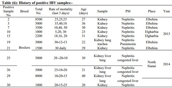 Incidence of Avian Nephritis and Infectious Bronchitis Viruses in Broilers in Egypt - Image 6