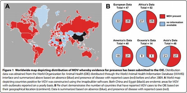 Marek’s disease in chickens: a review with focus on immunology - Image 1