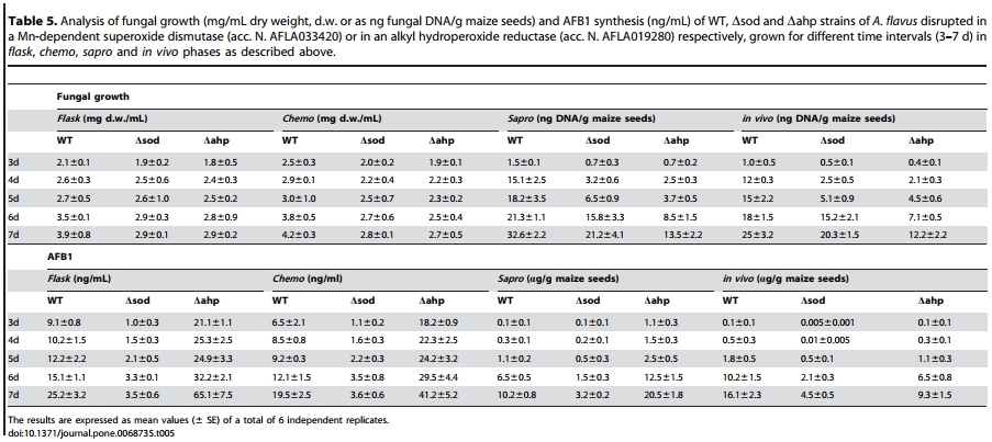 Genotypic and Phenotypic Versatility of Aspergillus flavus during Maize Exploitation - Image 11