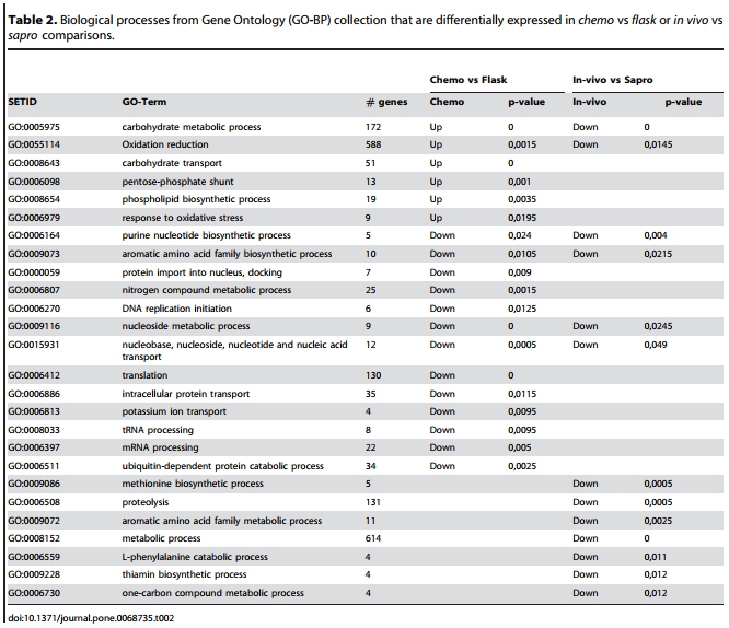 Genotypic and Phenotypic Versatility of Aspergillus flavus during Maize Exploitation - Image 3
