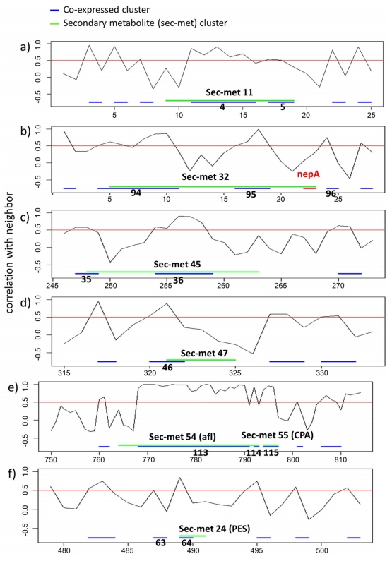 Genotypic and Phenotypic Versatility of Aspergillus flavus during Maize Exploitation - Image 16