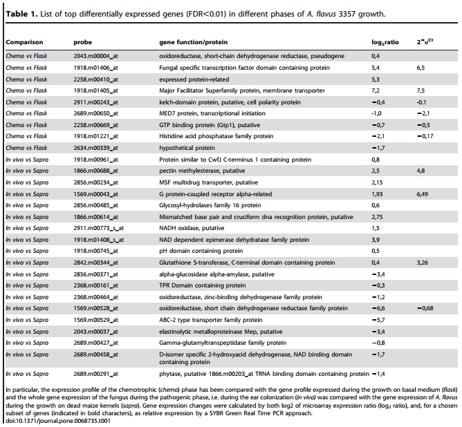 Genotypic and Phenotypic Versatility of Aspergillus flavus during Maize Exploitation - Image 1