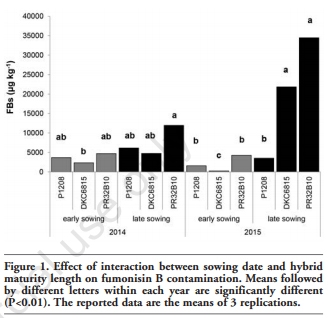 Impact of Sowing Time, Hybrid and Environmental Conditions on the Contamination of Maize by Emerging Mycotoxins and Fungal Metabolites - Image 5