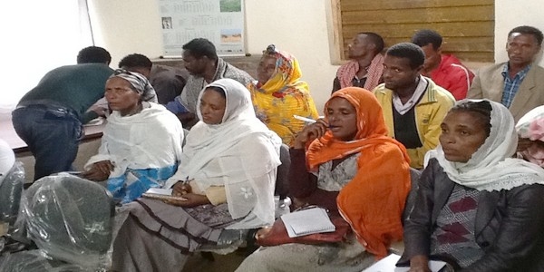 Demonstration of Commercial Layer Chicken “Bovans Brown” Technology Packages for Smallholder Poultry Producers in Eastern Amhara, Ethiopia - Image 1