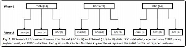 Disappearance and appearance of an indigestible marker in feces from growing pigs as affected by previous- and current-diet composition - Image 2