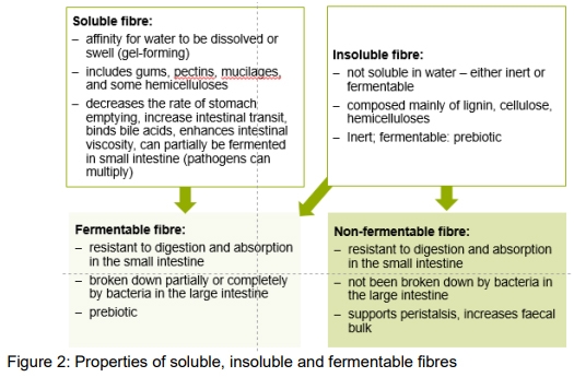 “Fibre”: necessary paradigm shift in pig feeding - Image 2