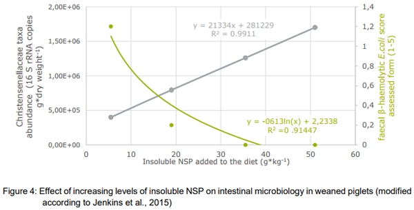 “Fibre”: necessary paradigm shift in pig feeding - Image 8