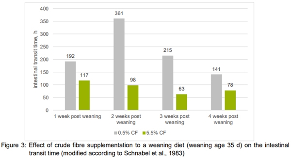 “Fibre”: necessary paradigm shift in pig feeding - Image 6