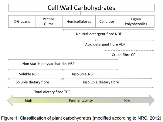 “Fibre”: necessary paradigm shift in pig feeding - Image 1