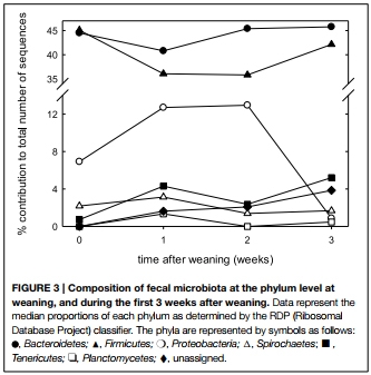 Reutericyclin producing Lactobacillus reuteri modulates development of fecal microbiota in weanling pigs - Image 5