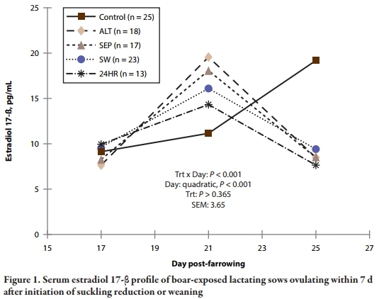 Nursing Reduction Strategies to Enhance Estrus in Lactating Sows and Effects on Performance of Pigs to Market Weight - Image 10