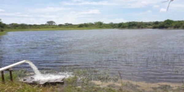 Optimizing tilapia biofloc technology systems, part 3 - Image 7