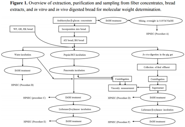Changes in Molecular Characteristics of Cereal Carbohydrates after Processing and Digestion - Image 1