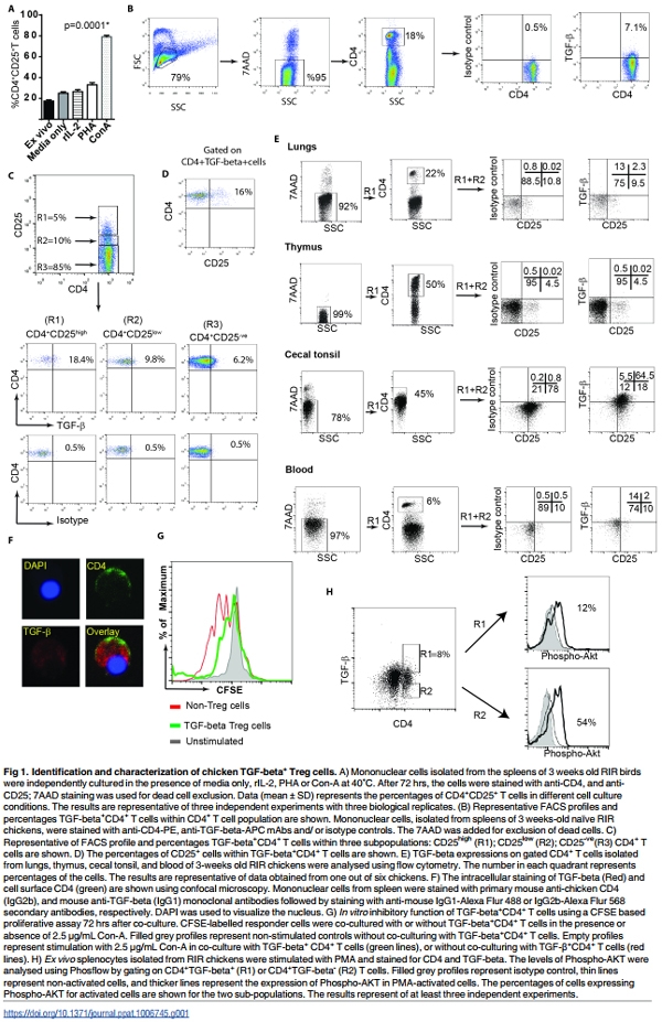 Association of Marek’s Disease induced immunosuppression with activation of a novel regulatory T cells in chickens - Image 1