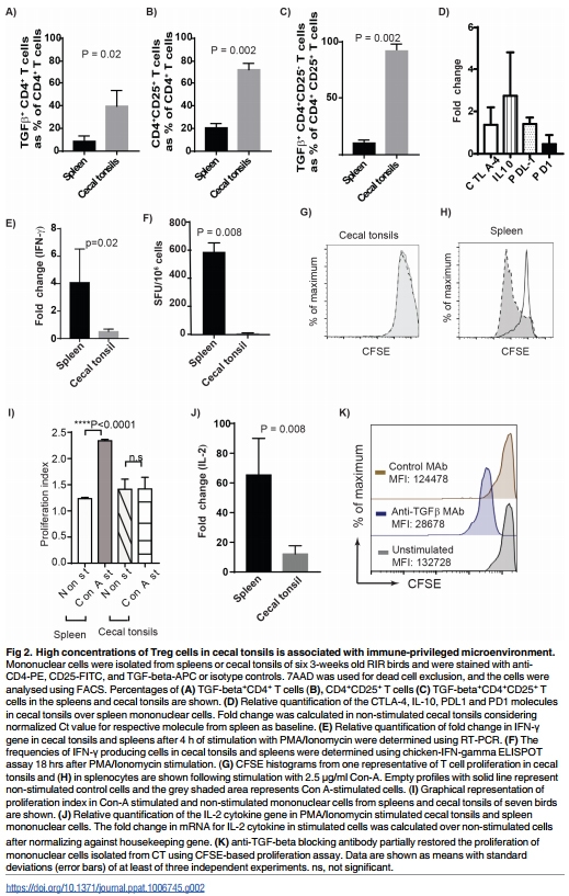 Association of Marek’s Disease induced immunosuppression with activation of a novel regulatory T cells in chickens - Image 2