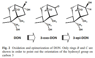 Biological detoxification of the mycotoxin deoxynivalenol and its use in genetically engineered crops and feed additives - Image 2