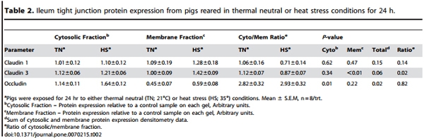 Heat Stress Reduces Intestinal Barrier Integrity and Favors Intestinal Glucose Transport in Growing Pigs - Image 6