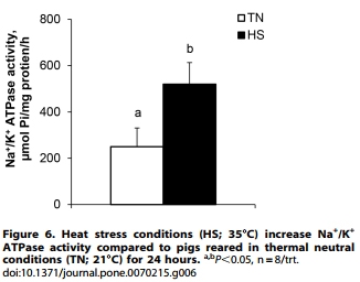 Heat Stress Reduces Intestinal Barrier Integrity and Favors Intestinal Glucose Transport in Growing Pigs - Image 8